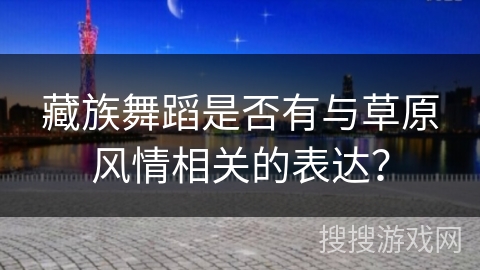 藏族舞蹈是否有与草原风情相关的表达？