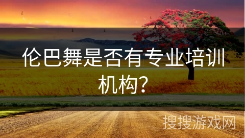 伦巴舞是否有专业培训机构？