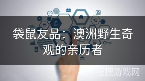 袋鼠友品：澳洲野生奇观的亲历者