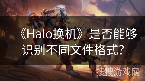 《Halo换机》是否能够识别不同文件格式？