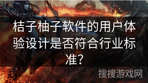 桔子柚子软件的用户体验设计是否符合行业标准？