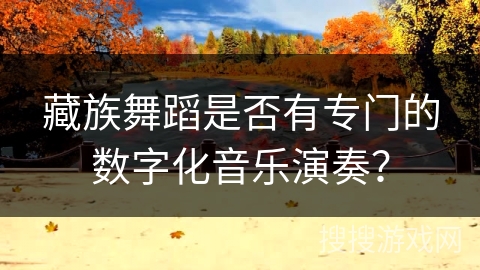 藏族舞蹈是否有专门的数字化音乐演奏？