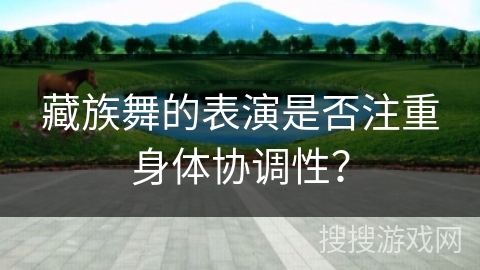 藏族舞的表演是否注重身体协调性？