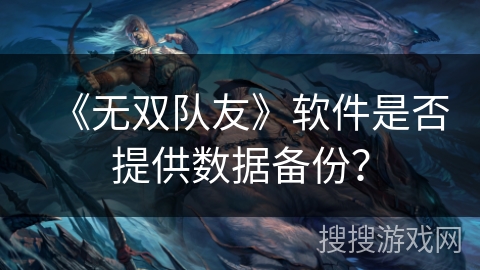 《无双队友》软件是否提供数据备份？