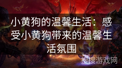 小黄狗的温馨生活:感受小黄狗带来的温馨生活氛围 小黄狗的温馨生活:感受小黄狗带来的温馨生活氛围