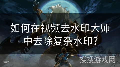 如何在视频去水印大师中去除复杂水印？