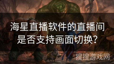 海星直播软件的直播间是否支持画面切换？
