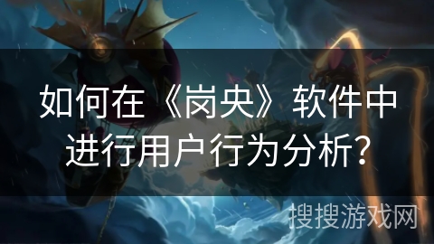 如何在《岗央》软件中进行用户行为分析？