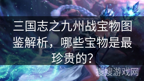 三国志之九州战宝物图鉴解析，哪些宝物是最珍贵的？