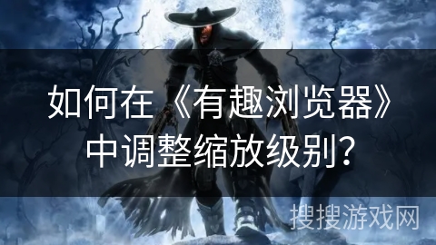 如何在《有趣浏览器》中调整缩放级别？