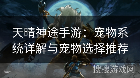 天晴神途手游：宠物系统详解与宠物选择推荐