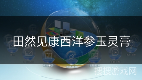 田然见康西洋参玉灵膏 田然见康西洋参玉灵膏