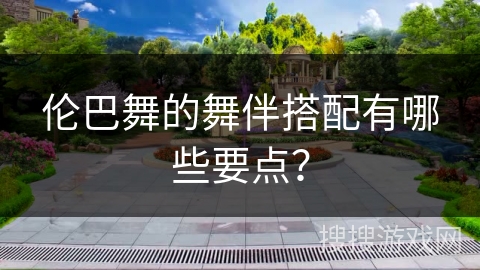 伦巴舞的舞伴搭配有哪些要点？