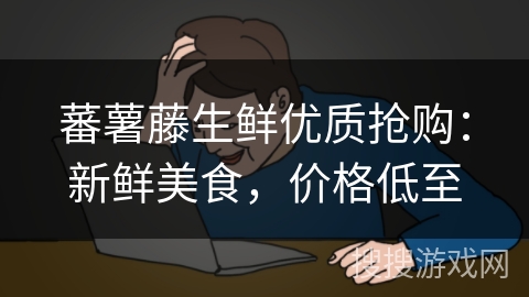 蕃薯藤生鲜优质抢购：新鲜美食，价格低至