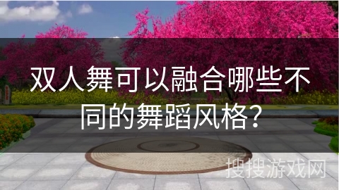 双人舞可以融合哪些不同的舞蹈风格？