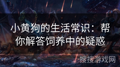 小黄狗的生活常识：帮你解答饲养中的疑惑