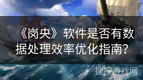 《岗央》软件是否有数据处理效率优化指南？