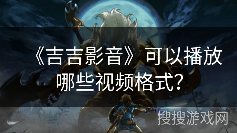 《吉吉影音》可以播放哪些视频格式？