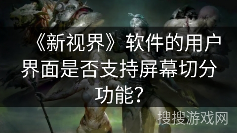 《新视界》软件的用户界面是否支持屏幕切分功能？