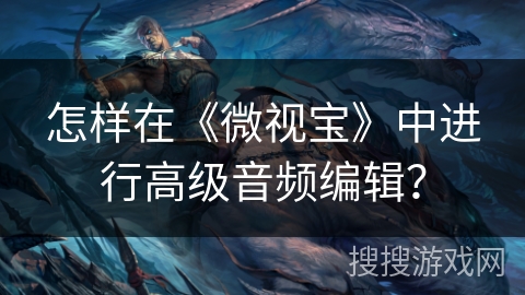 怎样在《微视宝》中进行高级音频编辑？