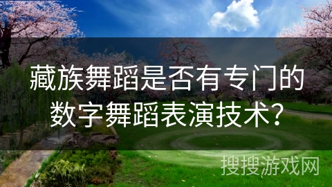 藏族舞蹈是否有专门的数字舞蹈表演技术？