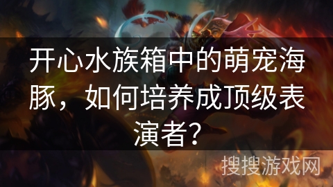 开心水族箱中的萌宠海豚，如何培养成顶级表演者？