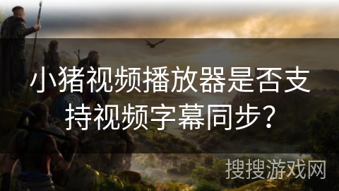 小猪视频播放器是否支持视频字幕同步？