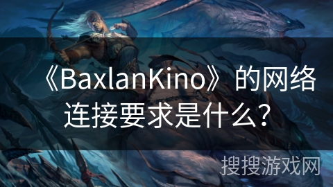 《BaxlanKino》的网络连接要求是什么？