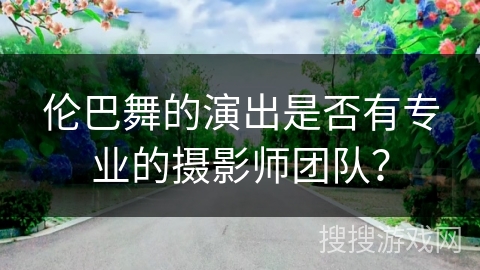 伦巴舞的演出是否有专业的摄影师团队？