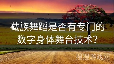 藏族舞蹈是否有专门的数字身体舞台技术？