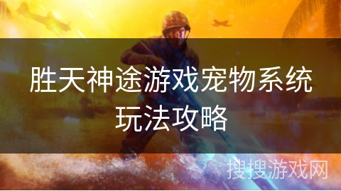 胜天神途游戏宠物系统玩法攻略