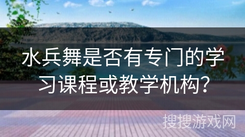 水兵舞是否有专门的学习课程或教学机构？