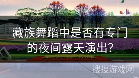 藏族舞蹈中是否有专门的夜间露天演出？