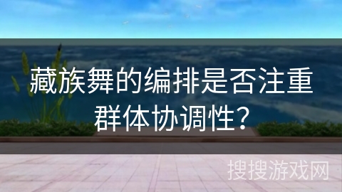 藏族舞的编排是否注重群体协调性？