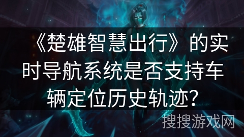 《楚雄智慧出行》的实时导航系统是否支持车辆定位历史轨迹？