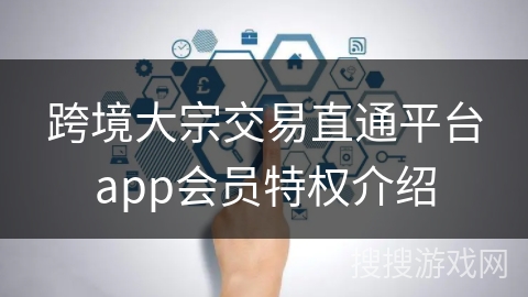 跨境大宗交易直通平台app会员特权介绍