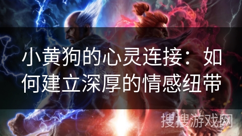 小黄狗的心灵连接:如何建立深厚的情感纽带 小黄狗的心灵连接:如何建立深厚的情感纽带