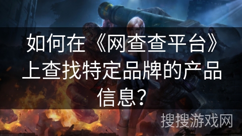 如何在《网查查平台》上查找特定品牌的产品信息？