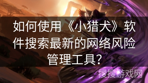 如何使用《小猎犬》软件搜索最新的网络风险管理工具？