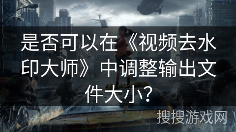 是否可以在《视频去水印大师》中调整输出文件大小？