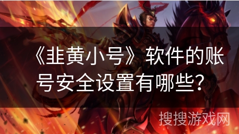 《韭黄小号》软件的账号安全设置有哪些？
