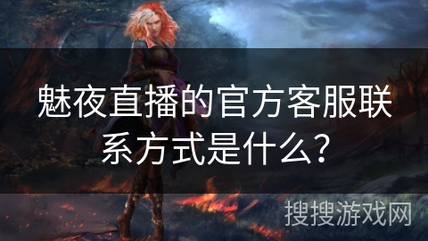 魅夜直播的官方客服联系方式是什么？