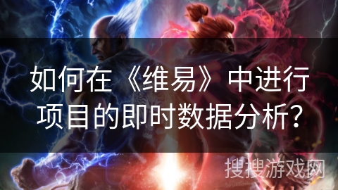 如何在《维易》中进行项目的即时数据分析？