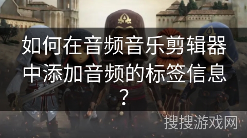 如何在音频音乐剪辑器中添加音频的标签信息？