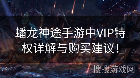 蟠龙神途手游中VIP特权详解与购买建议! 蟠龙神途手游中VIP特权详解与购买建议!