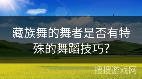 藏族舞的舞者是否有特殊的舞蹈技巧？