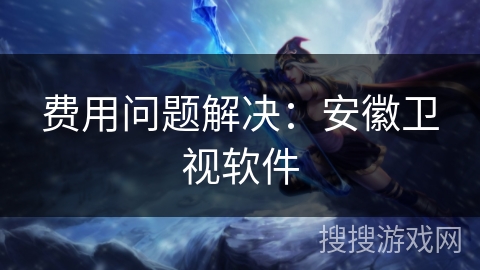 费用问题解决：安徽卫视软件