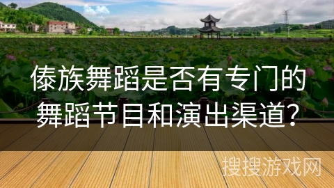 傣族舞蹈是否有专门的舞蹈节目和演出渠道？