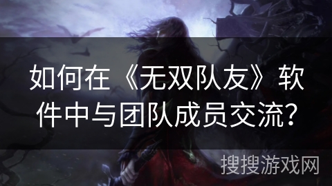 如何在《无双队友》软件中与团队成员交流？