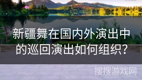 新疆舞在国内外演出中的巡回演出如何组织？